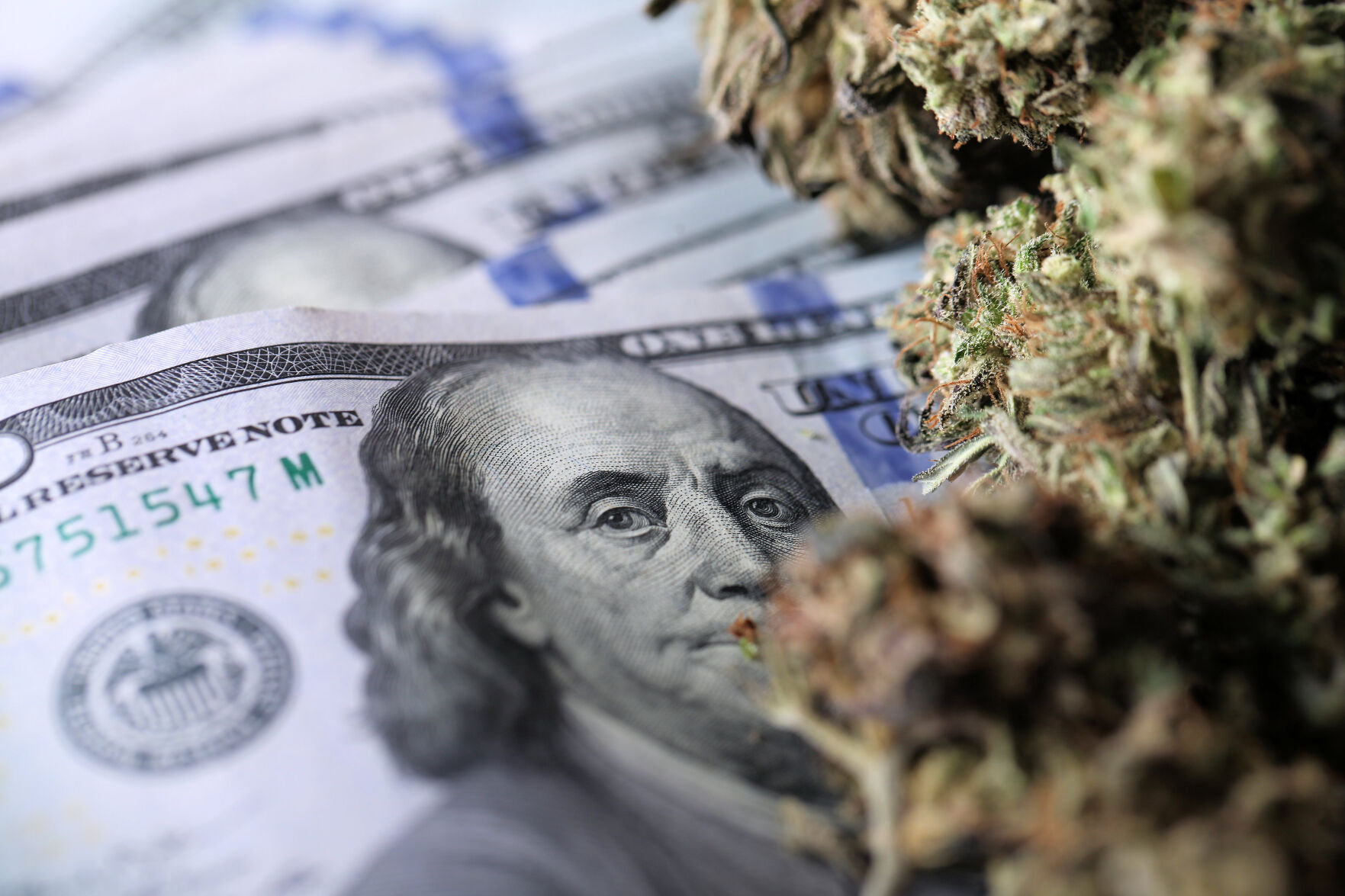 CANNABIS BUSINESSES
